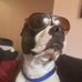 Profile Picture of Ben Uzzell (@ben.uzzell.5) on Facebook