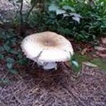 Profile Picture of Jonnyboy Michael Merryfield (@jonnyboymerryfield) on Instagram