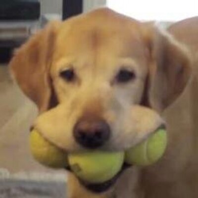 Daniel Khalil - Twitter Profile Picture of Daniel Khalil (@GiantMoustachio) on Twitter