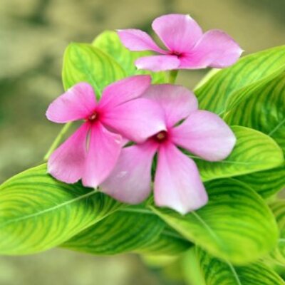 Profile Picture of Moore (@mom_eunice) on Twitter