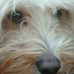Profile Picture of Max Wunder (@max.wunder.752) on Facebook