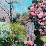 nicky khánh ngọc - Instagram Profile Picture of nicky khánh ngọc (@nickykhanhngoc) on Instagram