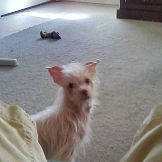 Profile Picture of Kevin Lemmons (@kevin.lemmons.14) on Facebook