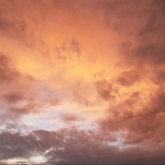 Profile Picture of Briana Mertus (@briana_mertus) on Poshmark