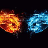 Profile Picture of Kane Walsh (@KaneTylerWalsh) on Twitter