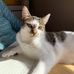 Profile Picture of Ann Simms (@ann.simms.7965) on Facebook