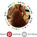 Profile Picture of Marcia Alexander (@Ihatethis50) on Pinterest