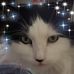 Profile Picture of Kris Koenes (@kris.koenes) on Facebook