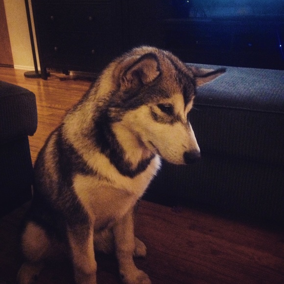 Profile Picture of Chris Drum (@emeraldmeri) on Poshmark