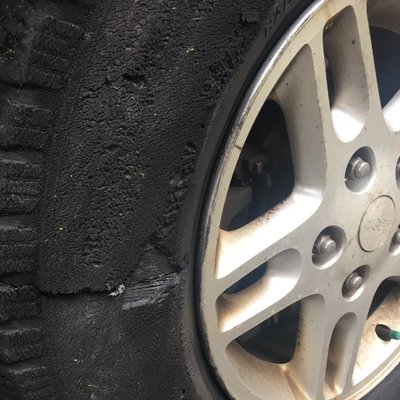 Profile Picture of Laura Loomer's Tire (@LoomerTire) on Twitter