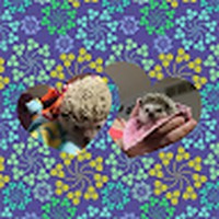 Profile Picture of Ashlee Meyers (@ashlee-meyers-4) on Quora