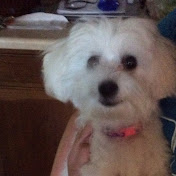 Profile Picture of Lukasz Walasinski (@lukaszwalasinski7729) on Youtube