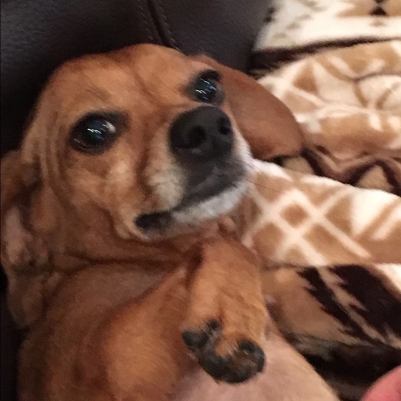 Profile Picture of Kyle Sinopoli (@kylemat56) on Poshmark