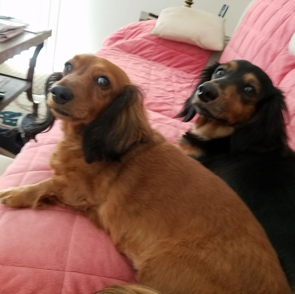 Profile Picture of Janet Hayes (@jennelu72) on Poshmark