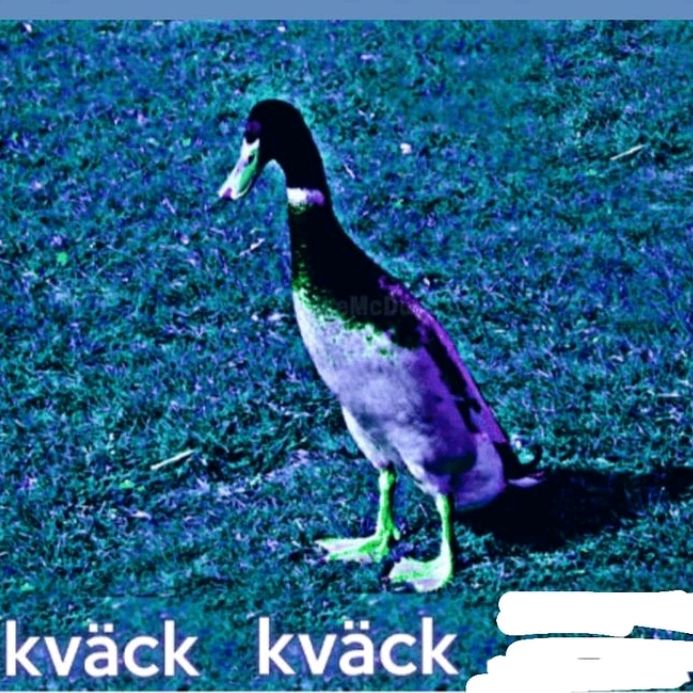Profile Picture of Gregory Šimko (@likeagreg6) on Tiktok