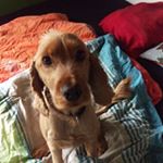 Profile Picture of Patrick Hahn (@patrickalexanderhahn) on Instagram