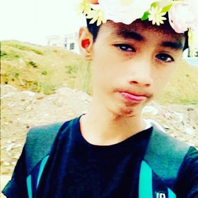 Profile Picture of Mike Almonte (@almontemike1314) on Twitter