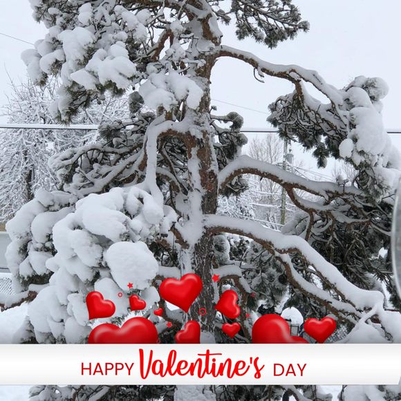 Profile Picture of Cathy Schadler (@cathy36901) on Poshmark