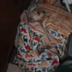 Profile Picture of James Haefner (@james.haefner.385747) on Facebook