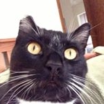 Scott Radloff - Instagram Profile Picture of Scott Radloff (@bbqpanda) on Instagram