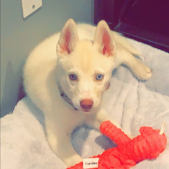 Profile Picture of Max Carr (@maxcarr) on Poshmark