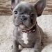 Profile Picture of Marlene Caldera Apodaca (@marlenecalderaapodaca) on Pinterest