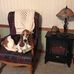 Profile Picture of Dawn Simonson (@dawn.simonson.338) on Facebook