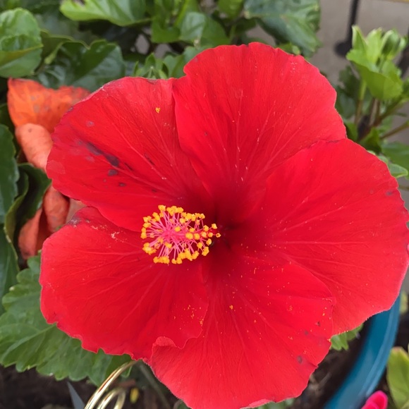 Profile Picture of E Gekler (@egekler173) on Poshmark