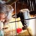 Profile Picture of Paula Fraker (@2frakers) on Pinterest