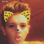 Profile Picture of tylercatalano (@tylercatalano12) on Instagram