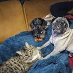 Profile Picture of Tanya Coldrick (@tanya.coldrick.5) on Facebook