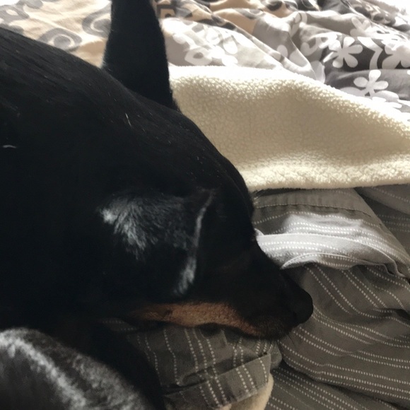 Profile Picture of Scott Hearld (@scotthld) on Poshmark