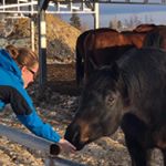 Profile Picture of Lynna T. (@lynna_rosalind) on Instagram