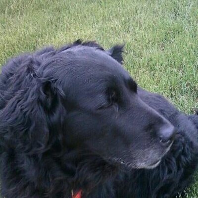 Profile Picture of Ricky Dailey (@rickdailey28) on Twitter