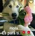 Profile Picture of Lucas Juan (@Lucas-Juan) on Facebook