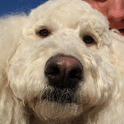 Profile Picture of Jarvis Jenkins (@jarvisjenkins4377) on Youtube