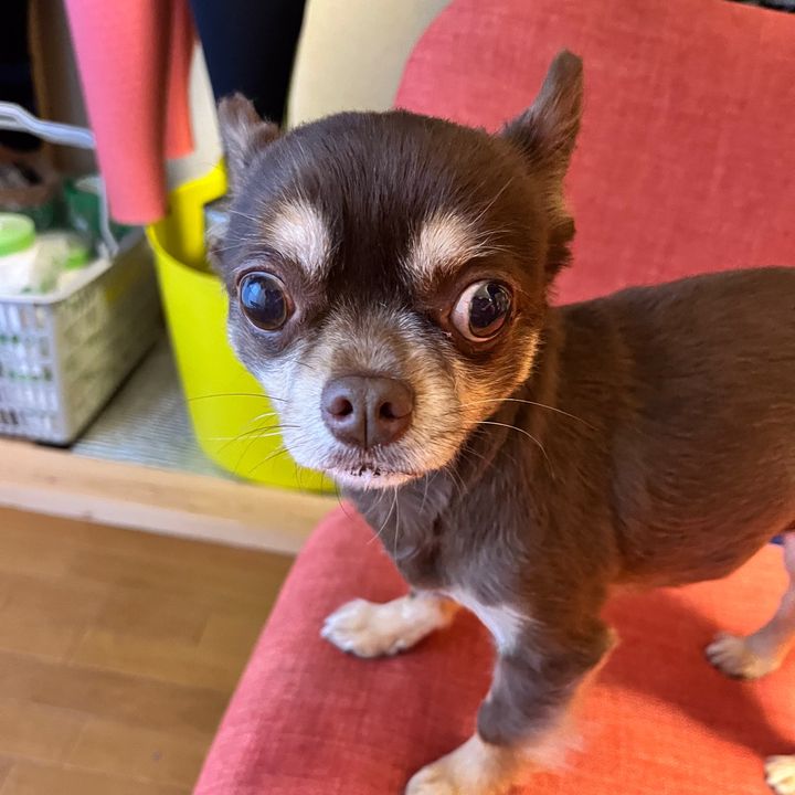 Profile Picture of makiko (@makiko10899) on Tiktok