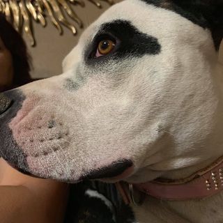 Trever Call - Facebook Profile Picture of Trever Call (@trever.call.1) on Facebook