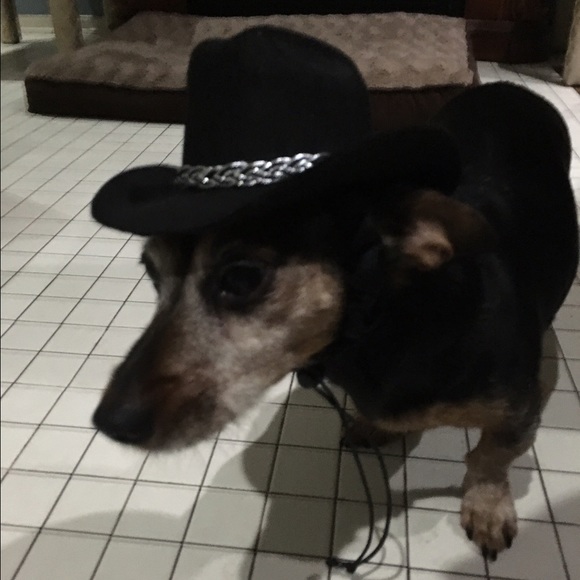 Profile Picture of Catherine Simpson (@coripink) on Poshmark