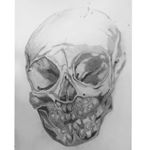 Profile Picture of DHT Student (@teethwithtammy) on Instagram