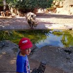 Profile Picture of Mario Ruiz Asenjo (@marioruizasenjo) on Instagram