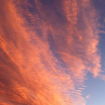 Profile Picture of Adam Sterling Weiss (@ASterlingWeiss) on Twitter