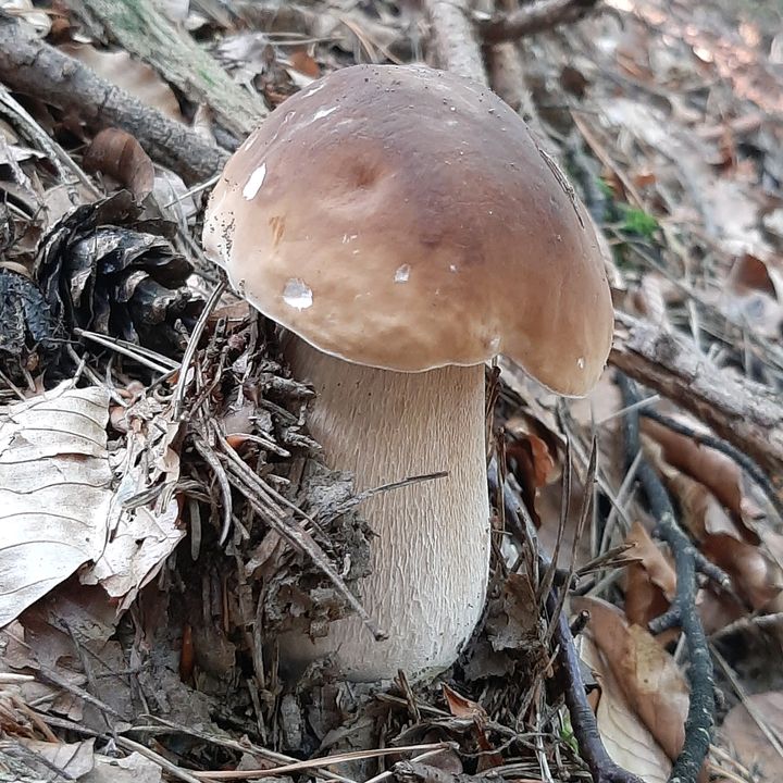 Profile Picture of Andrea Geisenfelder (@andreageisenfelder) on Tiktok