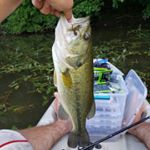Profile Picture of jeff lesher (@spankin_and_crankin_ourdoors) on Instagram