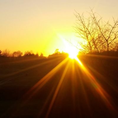 Profile Picture of Andywoodwardacp@gmail.com (@AndyWoodwardACP) on Twitter