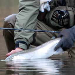 Profile Picture of Paul Hurtubise (@PaulGHurtubise) on Twitter