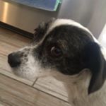 Profile Picture of KeithDevitt (@keith_dev) on Instagram