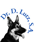 Profile Picture of Dr. Douglas Lutz (@Dr.DouglasLutz) on Youtube