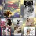 Profile Picture of Paula Apodaca (@paula.apodaca.399) on Facebook