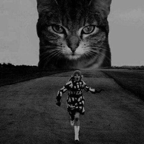 Profile Picture of Katie Segler (@katie_segler) on Poshmark